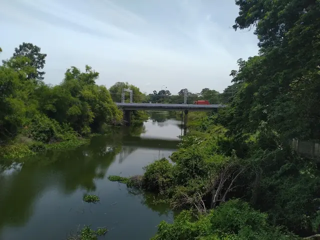 สะพานขาว